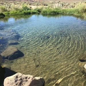 Meet your Posher, Zaira